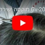 מוקסה ישירה על Gv-20