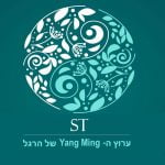 ערוץ ה- Yang Ming של הרגל