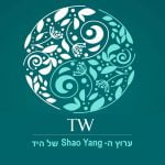 ערוץ ה- Shao Yang של היד