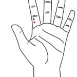 11.01 מרחק גדול Dà Jiān 大閒