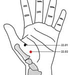22.02 בן אל-מוות כפול Chòng Xian 重仙
