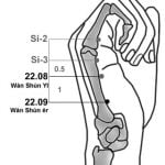 22.09 זרימת פרק כף היד השניה Wàn Shùn Er 腕順二
