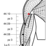 44.10 אב קדמון שמימי Tiān Zōng 天宗