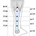 הסבר והדגמה של נקודות 77.01-04