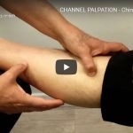 מישוש ערוץ השאו יין של היד ושלושת היינים של הרגל