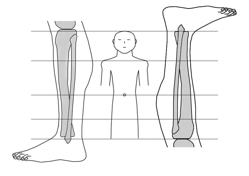 הדמיה עצם הטביה וכל הגוף