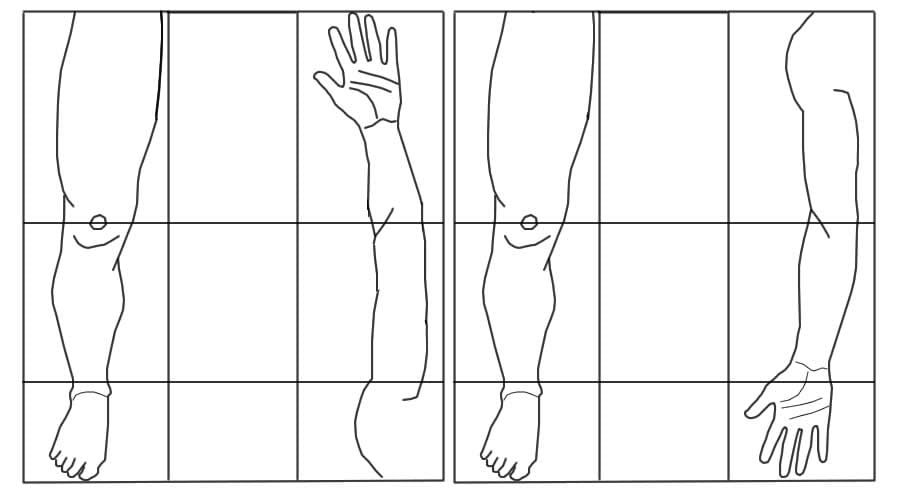 גפה עליונה לגפה תחתונה – הדמיה הפוכה גפה עליונה לגפה תחתונה