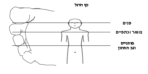 הדמיה של כף הרגל עם כל הגוף