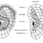 אקופונקטורה לשדה הקרב