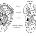 אקופונקטורה לשדה הקרב