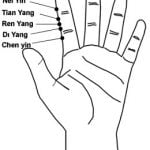 שלושת היאנג Sān Yáng 三陽 ו- שני יין Èr Yīn 二陰