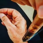 מוקסה על Li-5 Yang XI