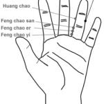 11.06 בחזרה לקן Huán Cháo 還巢