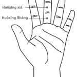 לפתוח את הטחול Kai Pi 開脾