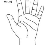 רוח עץ Mù Líng 木靈