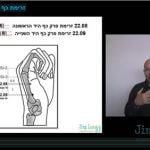 22.08-09 Wan shun זרימת פרק כף היד