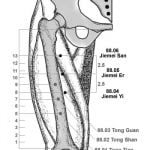 שלוש אחיות Jiěmèi Sān 姐妹三