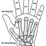 כוכב המתכת Jīn Xīng 金星