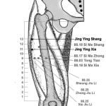 לנהל מתכת  Jīn Yíng 金營