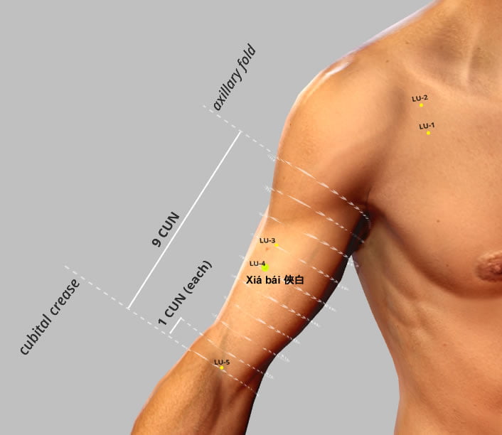 Lu4 Xiá bái 俠白