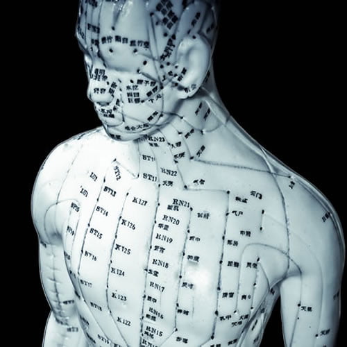 לימוד דיקור