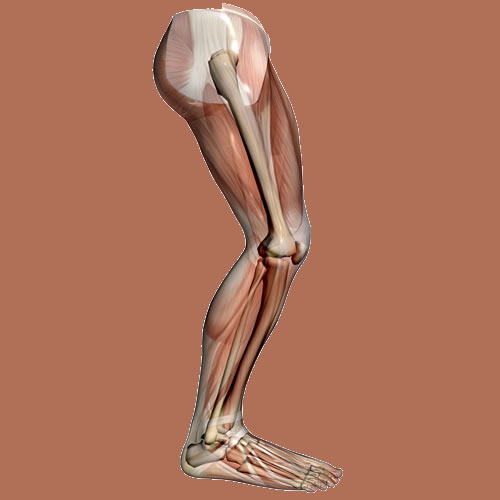 הפרעות של הגפיים התחתונות