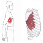 נקודות טריגר